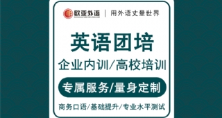 【歐亞外語】英語團(tuán)培企業(yè)內(nèi)訓(xùn)高校英語培訓(xùn)VIP課程